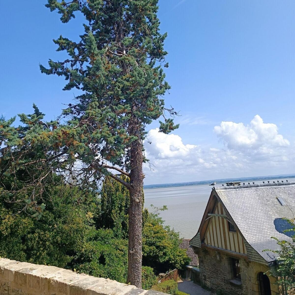 Chez Adele Villa Mont-Saint-Michel Exteriör bild